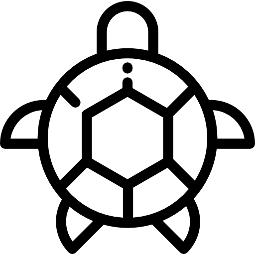 tortuga icono gratis