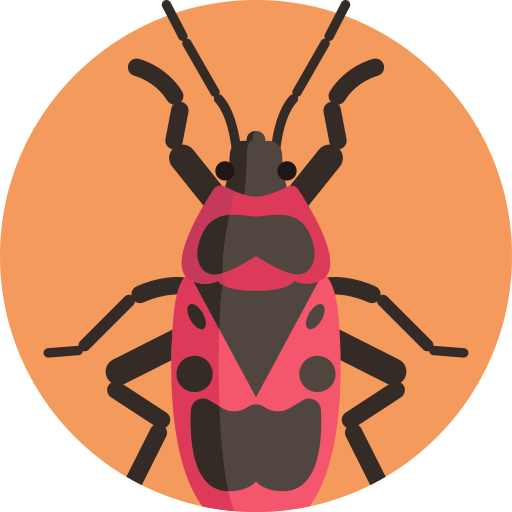 Cucaracha - Iconos Gratis De Animales