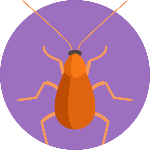 Brown banded cockroach - Free animals icons