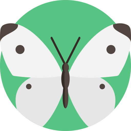 Borboleta repolho grátis ícone