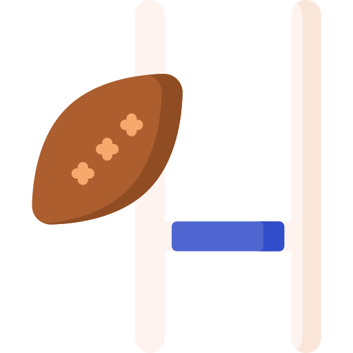 le rugby Icône gratuit