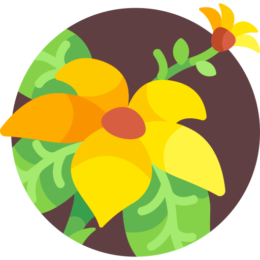 Цветок бесплатно иконка