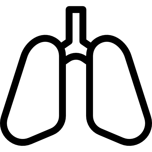 Lungs Detailed Rounded Lineal icon