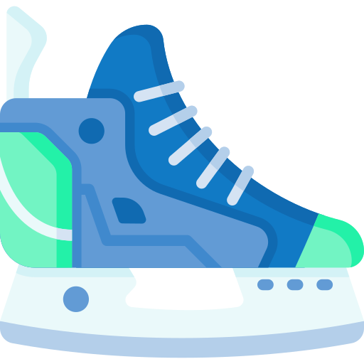 Ice skating shoes Special Flat icon