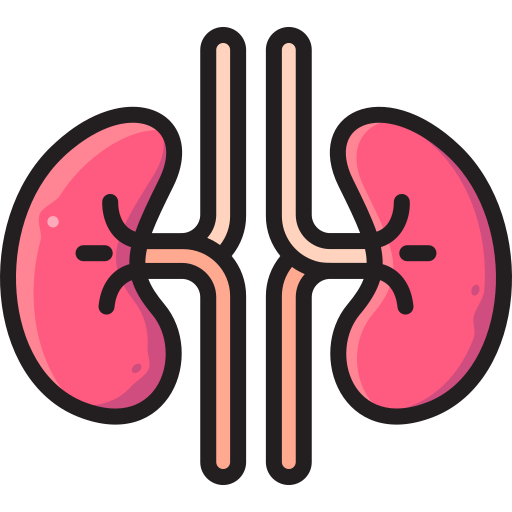 Kidney free icon Kidney free icon