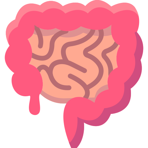 Intestine free icon Intestine free icon