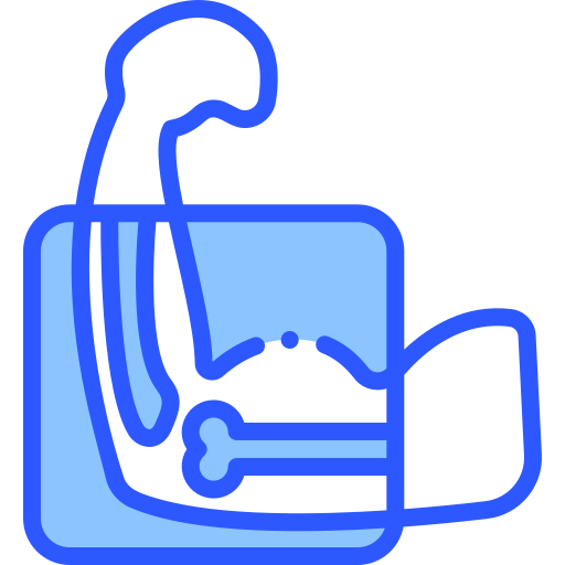 X ray free icon