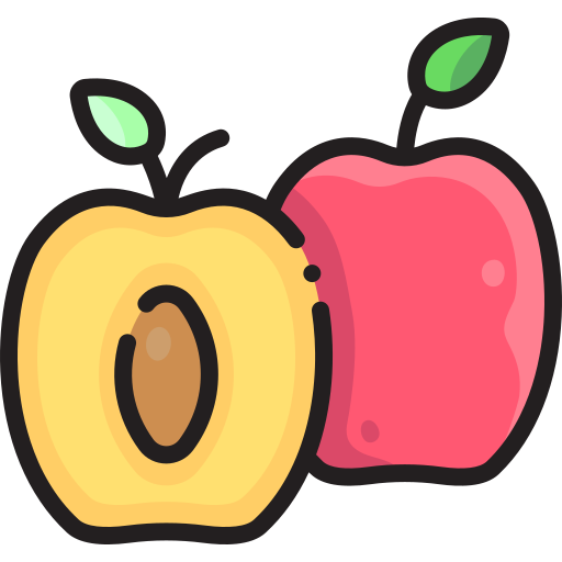 Apricot free icon Apricot free icon