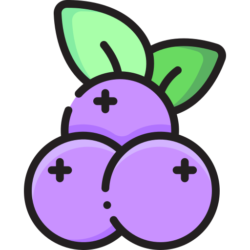 Blueberries free icon