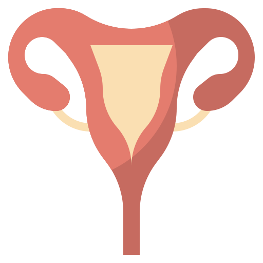 uterus Icon - Download for free – Iconduck