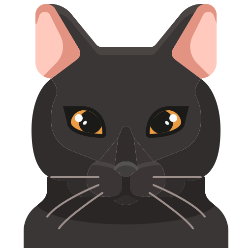 Gray cat icon - Free gray animal icons