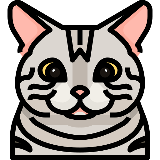 Gato icono gratis