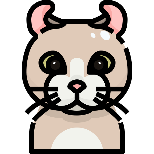 Gato icono gratis