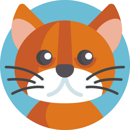 chat Icône gratuit chat Icône gratuit