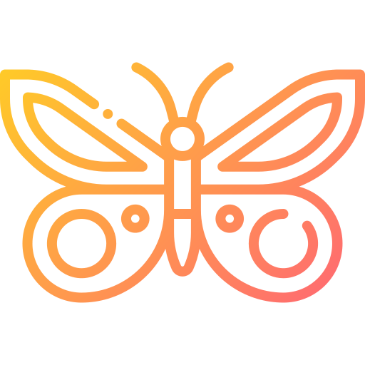 Mariposa icono gratis