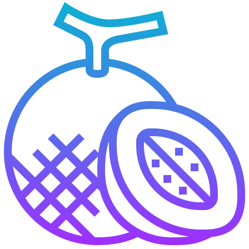 melon Icône gratuit