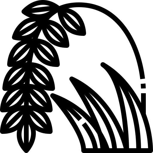 Rice free icon
