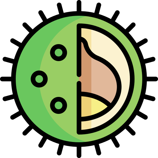 Chestnut free icon