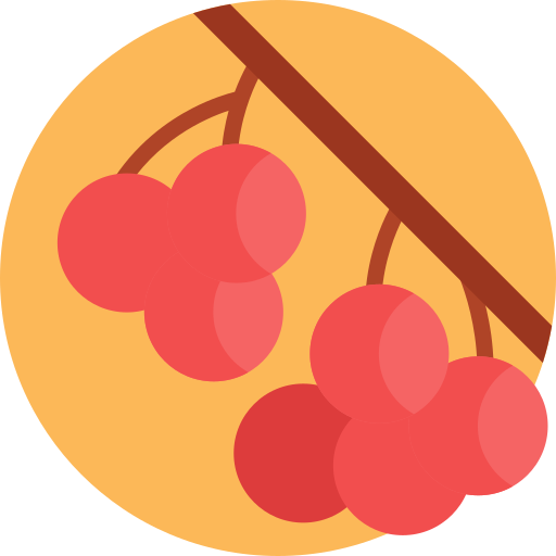 Berry free icon Berry free icon