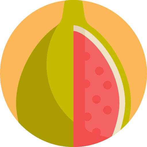 Fig free icon Fig free icon