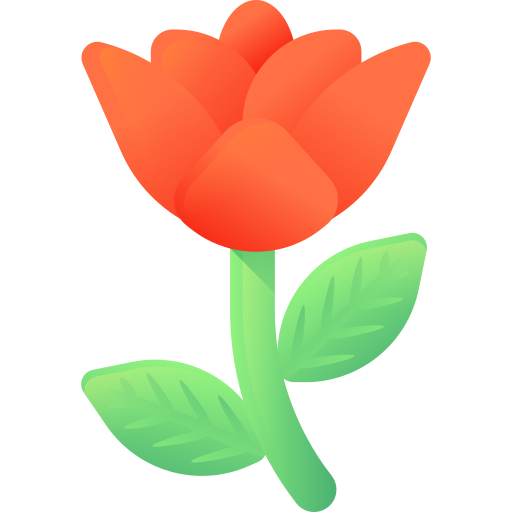 Flower 3D Color icon