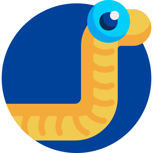 Worm free icon