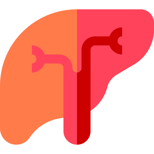 Liver Basic Straight Flat icon