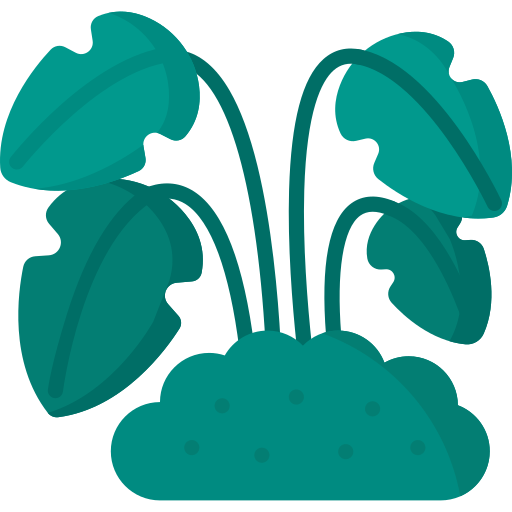 plante Icône gratuit