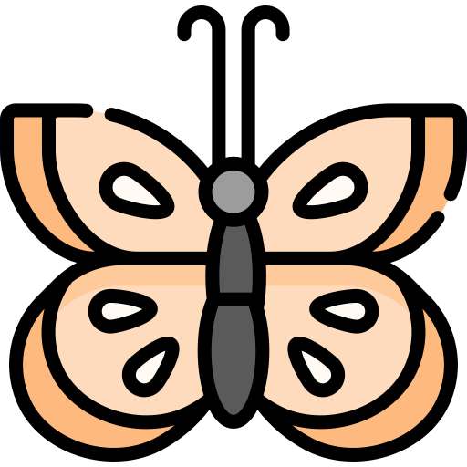 Mariposa icono gratis