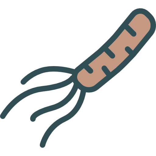 Bacteria Swifticons Lineal Color icon