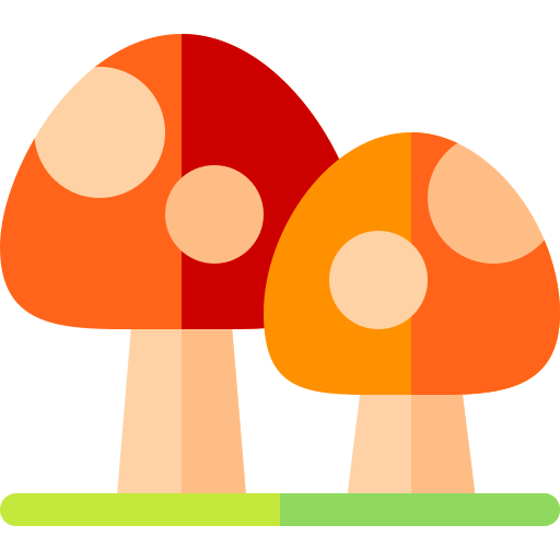 Mushrooms Basic Rounded Flat icon