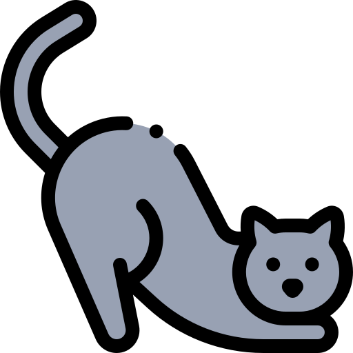 Cat Icon PNG - Download Free & Premium Transparent Cat Icon PNG