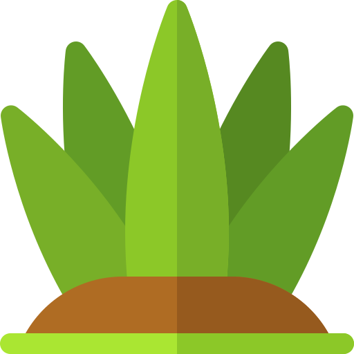 Aloe vera icono gratis