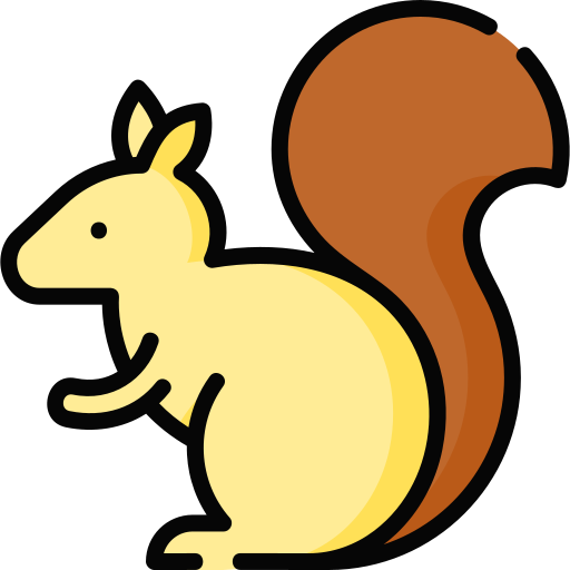 Squirrel Special Lineal color icon