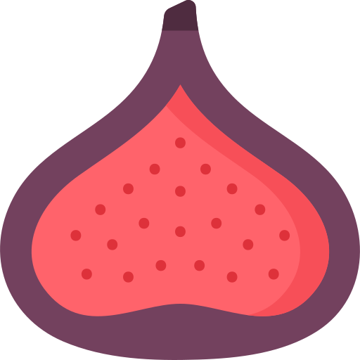 Fig free icon Fig free icon