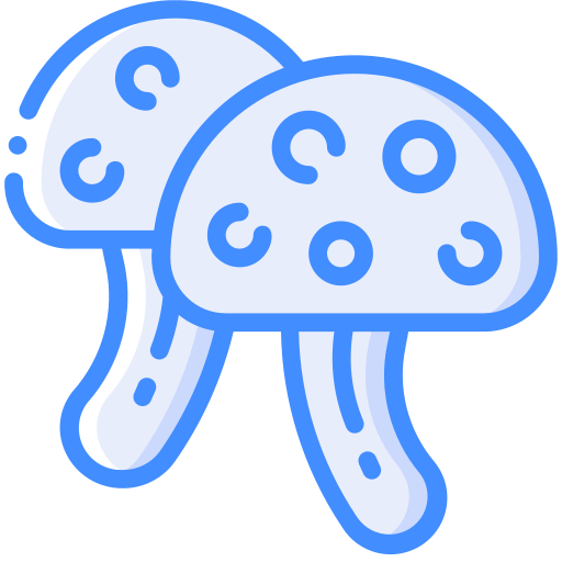 Mushrooms Basic Miscellany Blue icon