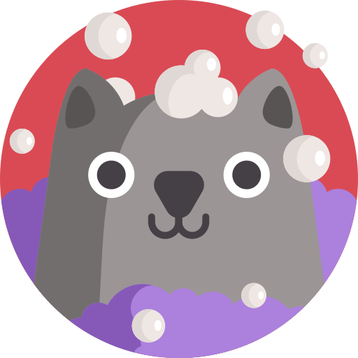 chat Icône gratuit