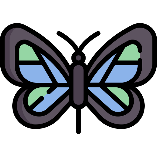 Butterfly - Free animals icons