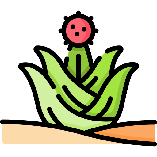 선인장 무료 아이콘