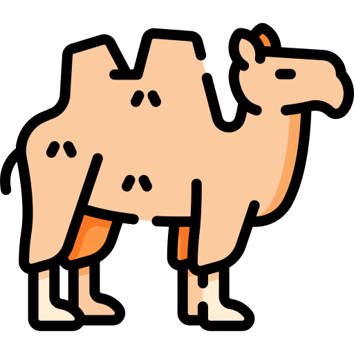 Camel Special Lineal color icon