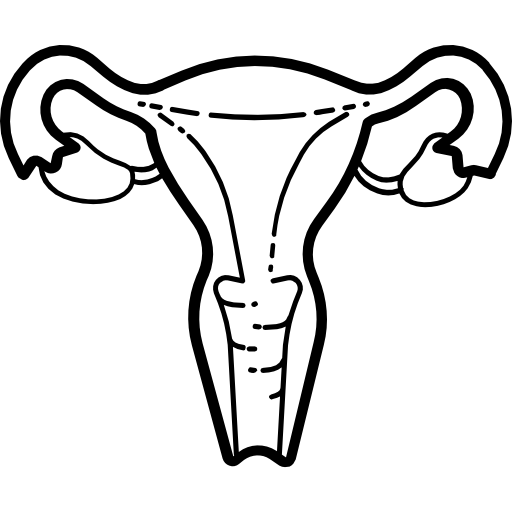 Uterus free icon