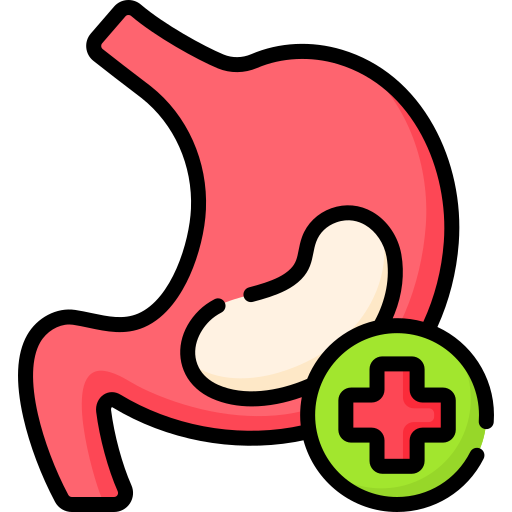 bauch kostenlos Icon bauch kostenlos Icon
