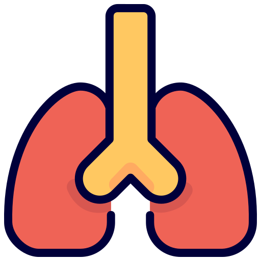 Lung Generic Outline Color icon