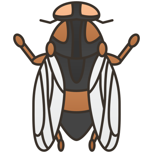 Fly Amethys Design Lineal Color icon