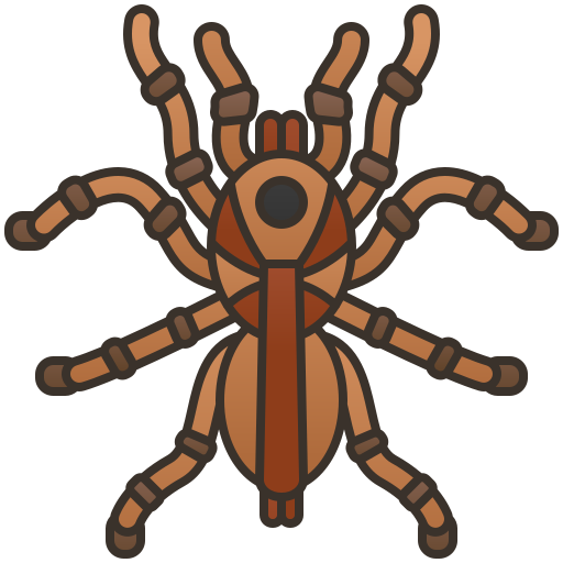 tarántula icono gratis