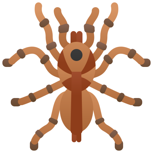 tarántula icono gratis