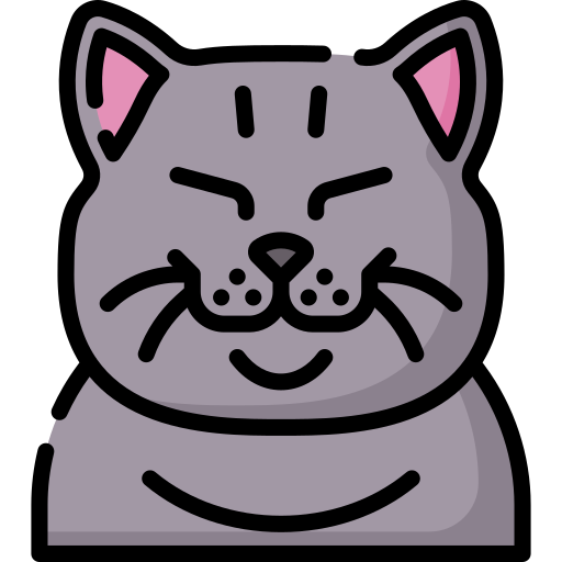 chat Icône gratuit chat Icône gratuit
