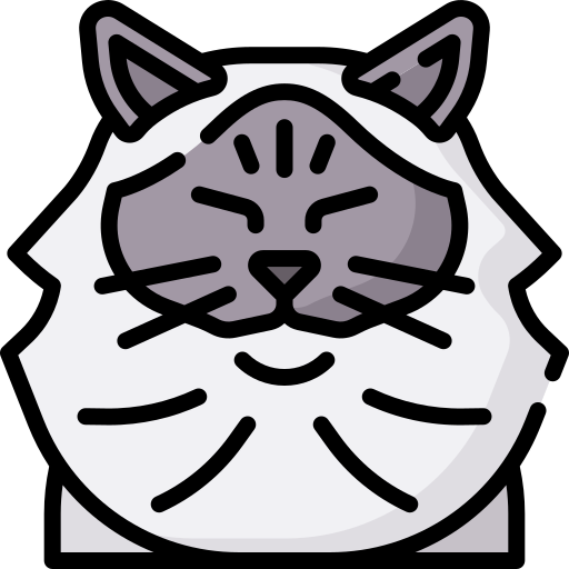 chat Icône gratuit chat Icône gratuit