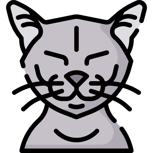 Cat free icon Cat free icon