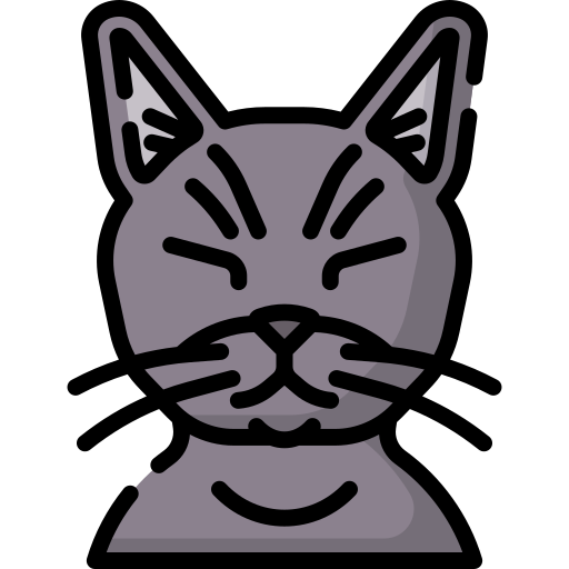 Cat free icon Cat free icon